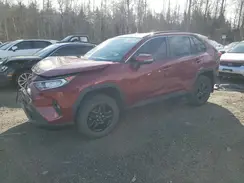 2T3W1RFV4LC037309 2020 TOYOTA RAV 4