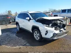 2T3W1RFV4LC053798 2020 TOYOTA RAV 4