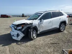 2T3W1RFV4LW082961 2020 TOYOTA RAV 4