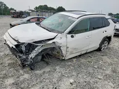 2T3W1RFV4MW109965 2021 TOYOTA RAV 4