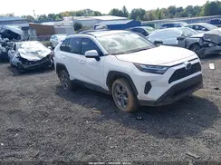 2T3W1RFV4PC218304 2023 TOYOTA RAV 4