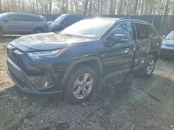 2T3W1RFV4PW267470 2023 TOYOTA RAV 4