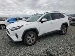 2T3W1RFV4PW268893 2023 TOYOTA RAV 4