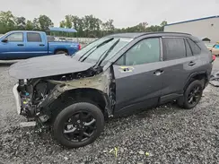 2T3W1RFV4PW285743 2023 TOYOTA RAV 4