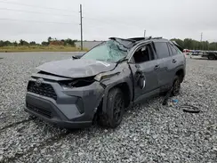 2T3W1RFV4PW294815 2023 TOYOTA RAV 4