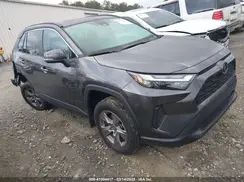 2T3W1RFV4RC252973 2024 TOYOTA RAV 4