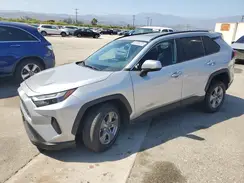 2T3W1RFV4RC263634 2024 TOYOTA RAV 4