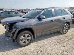 2T3W1RFV4RC299033 2024 TOYOTA RAV 4