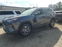 2T3W1RFV4RW319246 2024 TOYOTA RAV 4