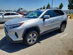 2T3W1RFV4RW353770 2024 TOYOTA RAV 4