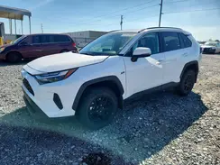 2T3W1RFV4SC332960 2025 TOYOTA RAV 4