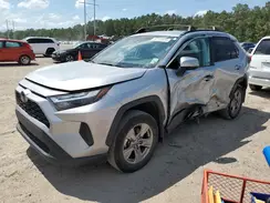 2T3W1RFV5PC234981 2023 TOYOTA RAV 4