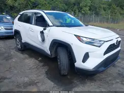 2T3W1RFV5PC246757 2023 TOYOTA RAV 4