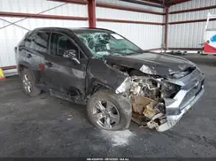2T3W1RFV5PC247116 2023 TOYOTA RAV 4