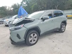 2T3W1RFV5PW241038 2023 TOYOTA RAV 4