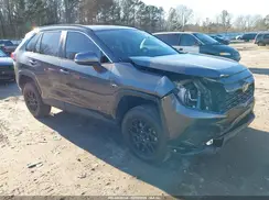 2T3W1RFV5PW252296 2023 TOYOTA RAV 4