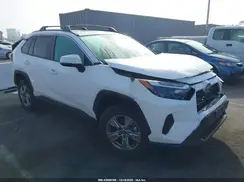 2T3W1RFV5PW269986 2023 TOYOTA RAV 4