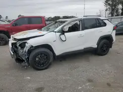 2T3W1RFV5RC264694 2024 TOYOTA RAV 4