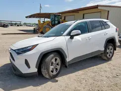 2T3W1RFV5RC292379 2024 TOYOTA RAV 4