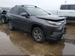 2T3W1RFV5RC298814 2024 TOYOTA RAV 4