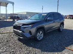 2T3W1RFV5RC299901 2024 TOYOTA RAV 4