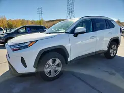 2T3W1RFV5RW303895 2024 TOYOTA RAV 4
