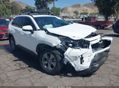 2T3W1RFV5RW304139 2024 TOYOTA RAV 4