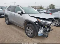 2T3W1RFV5RW316436 2024 TOYOTA RAV 4