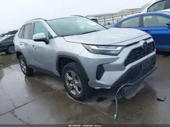 2T3W1RFV5RW328098 2024 TOYOTA RAV 4