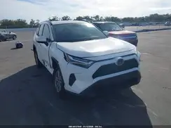 2T3W1RFV5RW331633 2024 TOYOTA RAV 4