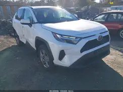 2T3W1RFV5RW335777 2024 TOYOTA RAV 4