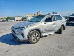 2T3W1RFV5RW338808 2024 TOYOTA RAV 4