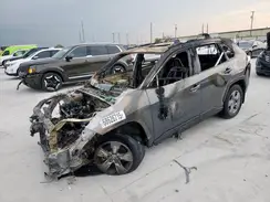 2T3W1RFV5RW341305 2024 TOYOTA RAV 4