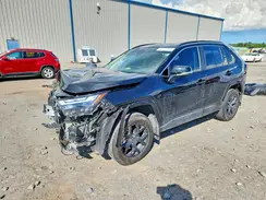 2T3W1RFV5RW350893 2024 TOYOTA RAV 4