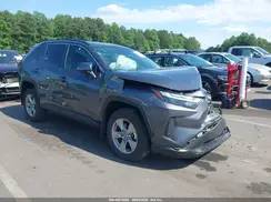 2T3W1RFV5SC304696 2025 TOYOTA RAV 4