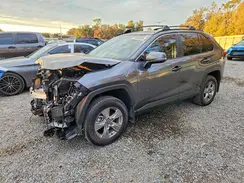 2T3W1RFV5SC337679 2025 TOYOTA RAV 4
