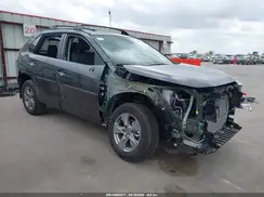 2T3W1RFV5SW443001 2025 TOYOTA RAV 4