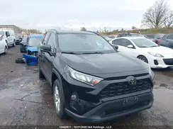 2T3W1RFV6KC032417 2019 TOYOTA RAV 4