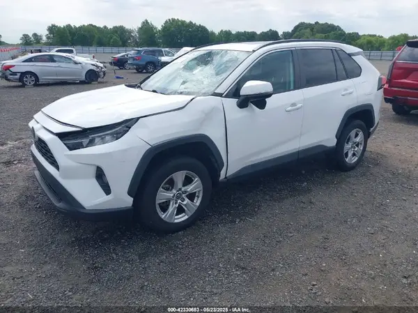 2T3W1RFV6KW026003 2019 TOYOTA RAV 4 - Image 2
