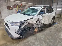 2T3W1RFV6LW088888 2020 TOYOTA RAV 4
