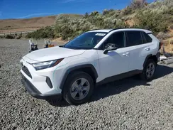 2T3W1RFV6NC173198 2022 TOYOTA RAV 4