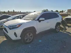2T3W1RFV6NC203882 2022 TOYOTA RAV 4