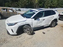 2T3W1RFV6PC233953 2023 TOYOTA RAV 4