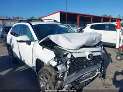 2T3W1RFV6PC244998 2023 TOYOTA RAV 4