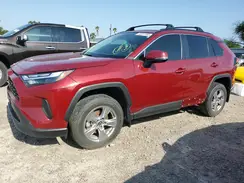 2T3W1RFV6PW256695 2023 TOYOTA RAV 4
