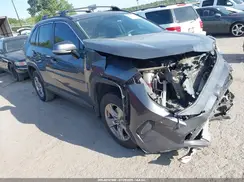 2T3W1RFV6PW257202 2023 TOYOTA RAV 4