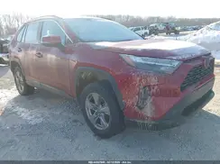 2T3W1RFV6PW267793 2023 TOYOTA RAV 4