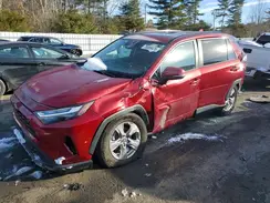 2T3W1RFV6PW275201 2023 TOYOTA RAV 4