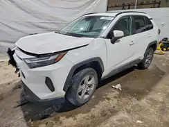 2T3W1RFV6PW276008 2023 TOYOTA RAV 4