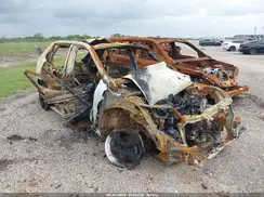 2T3W1RFV6RC262159 2024 TOYOTA RAV 4